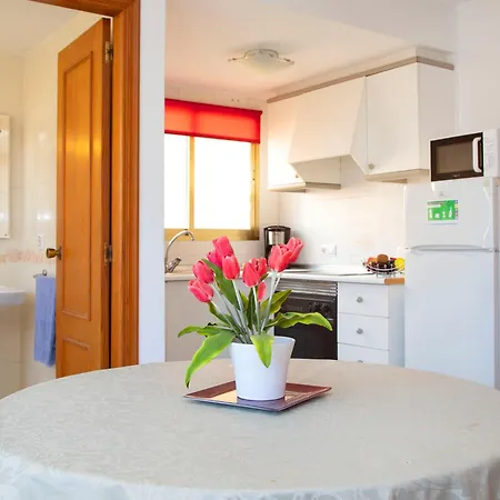 Apolo Vi-4 By Interhome Appartamento